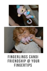 Fingerlings are interactive creatures for children. That respond to touch and sound . They even snore when they are asleep #review #childrensproducts #tinytech