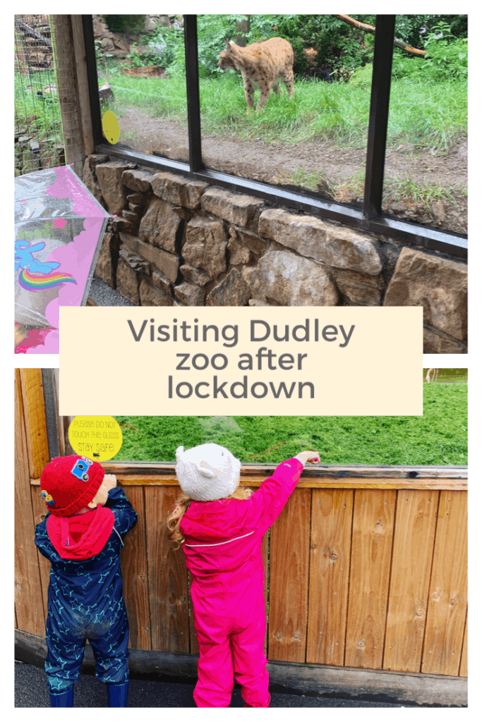 Visiting Dudley zoo after lockdown #midlands #daysoutinthemidlands #zoo #dudleyzoo #daysout #kidsdaysout 