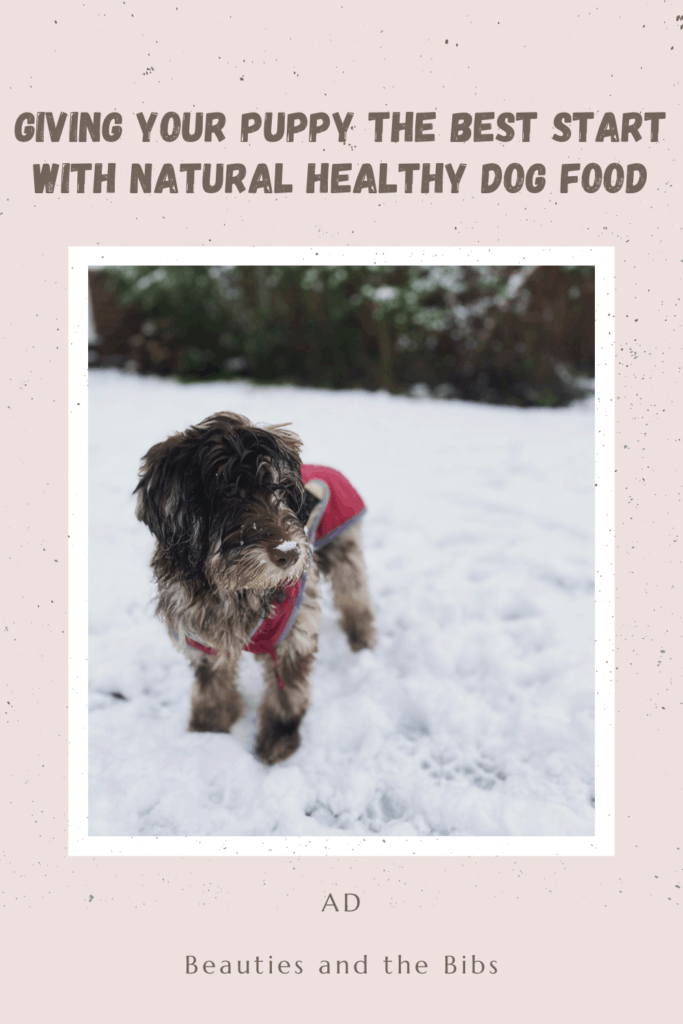 Give your puppy the best start with natural healthy dog food #puppy #dogfood #natural #naturaldogfood #healthy 